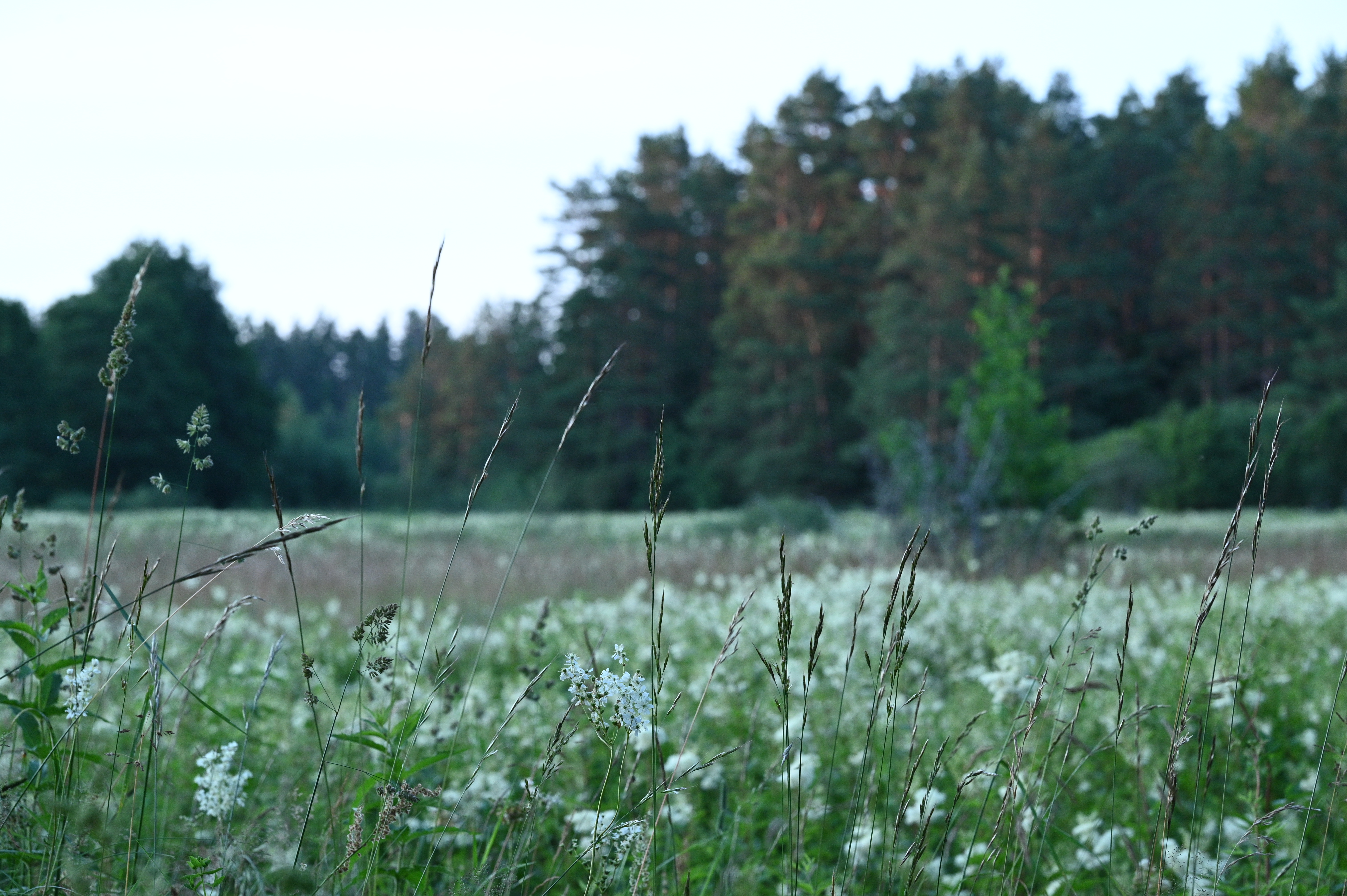 2025/07/09-14 - trip/DSC_0096.JPG